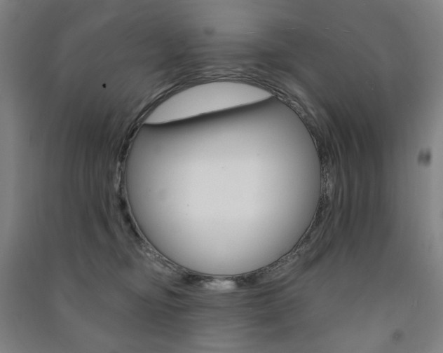 X0000091500374200708161239