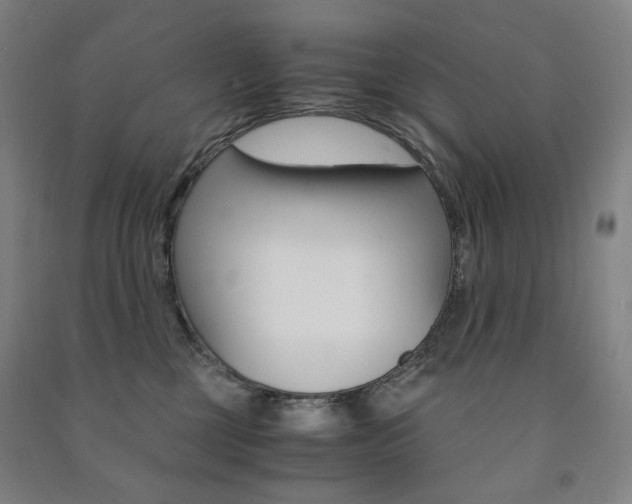 X0000091500377200708161239