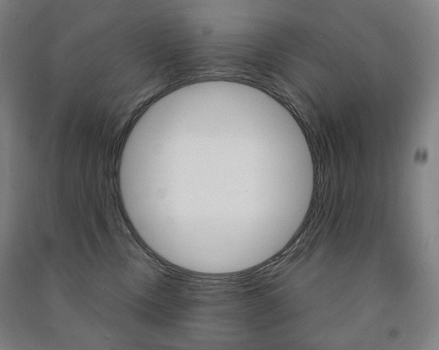 X0000091500378200708161239