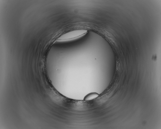 X0000091500382200708161239
