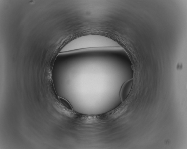 X0000091500384200708161239