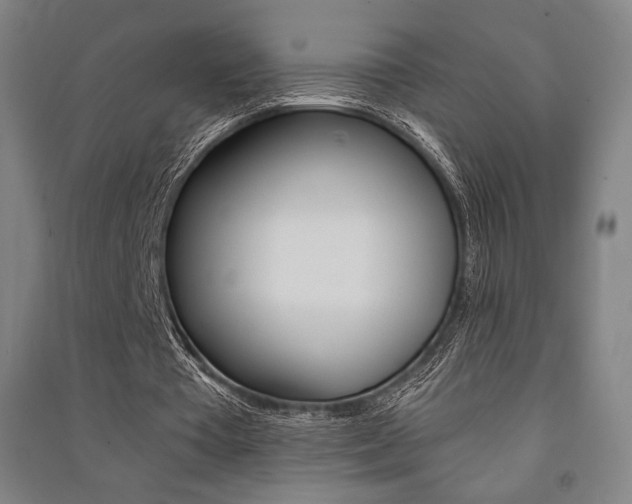 X0000091500385200708161238