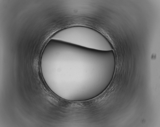 X0000091500386200708161238