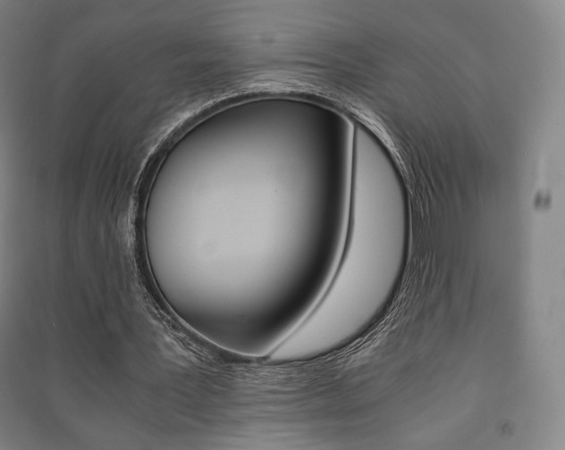 X0000091500387200708161238