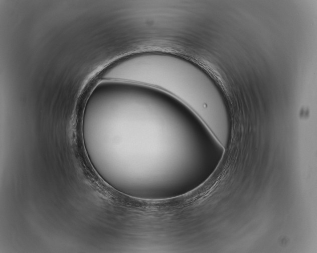 X0000091500388200708161238