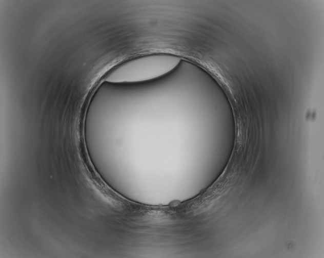 X0000091500390200708161238