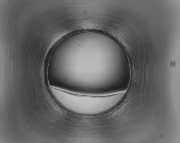 X0000091500391200708161238