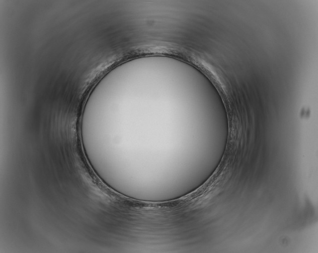 X0000091500394200708161238