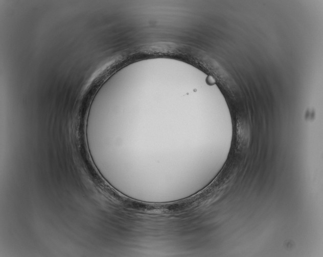 X0000091500396200708161238