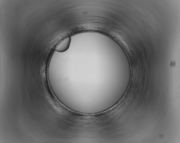 X0000091500398200708161238
