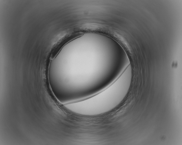 X0000091500399200708161238
