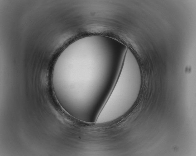 X0000091500400200708161238