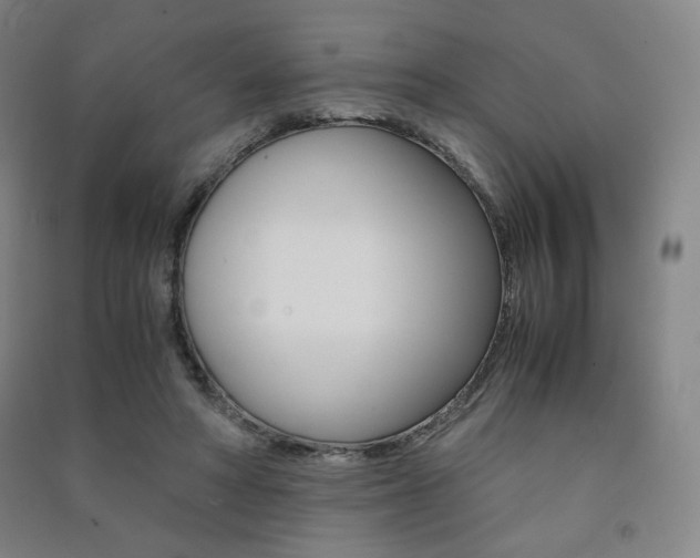 X0000091500402200708161238