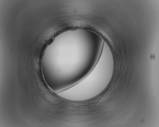X0000091500403200708161238