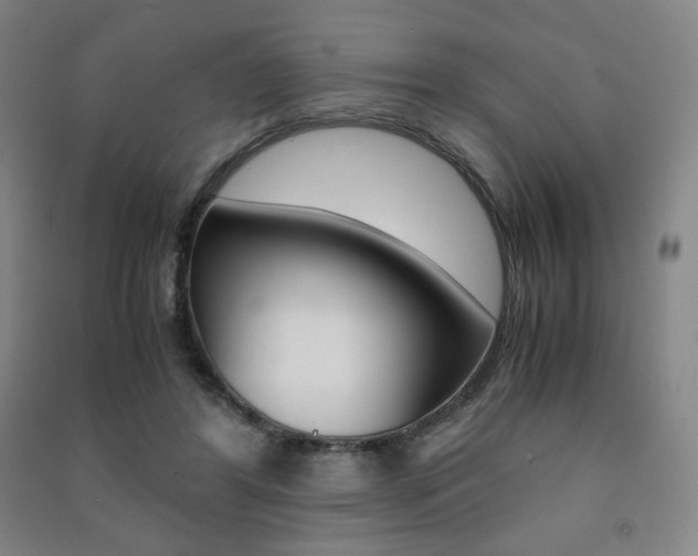 X0000091500404200708161238