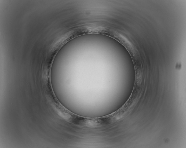 X0000091500405200708161238