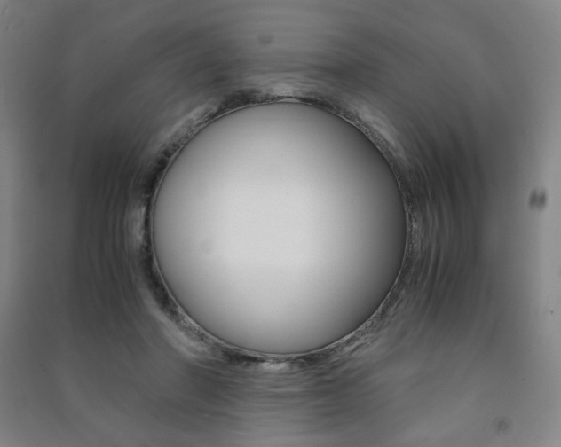 X0000091500406200708161238