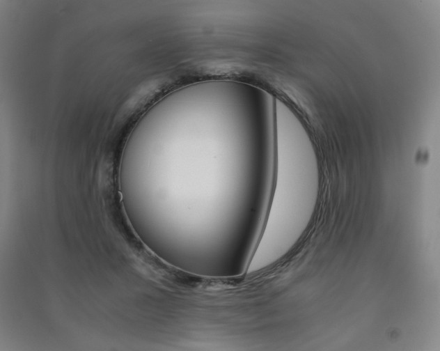 X0000091500407200708161238