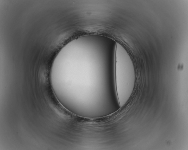 X0000091500408200708161238