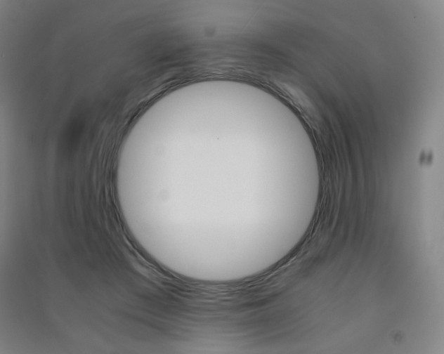 X0000091500409200708161238