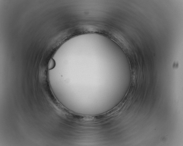 X0000091500410200708161238