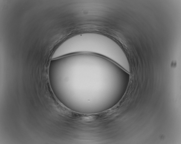 X0000091500411200708161238