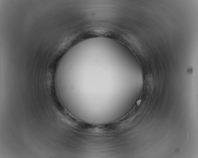 X0000091500412200708161238