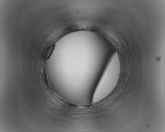 X0000091500413200708161238