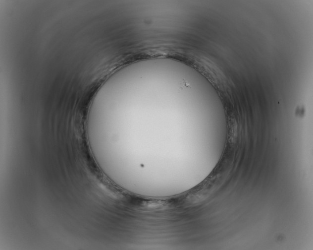 X0000091500414200708161238