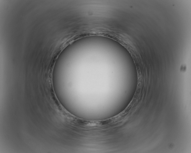 X0000091500415200708161238