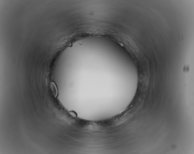 X0000091500416200708161238