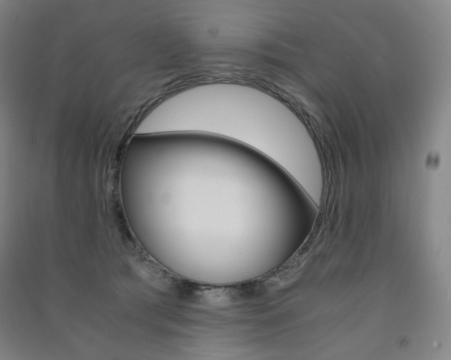 X0000091500417200708161238