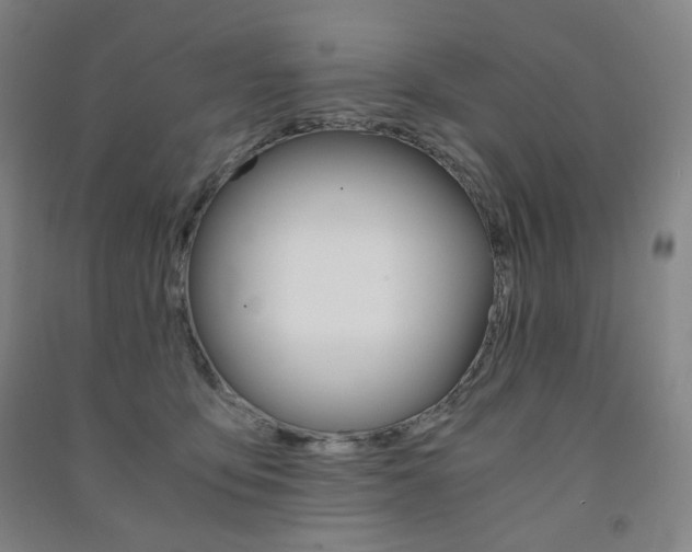 X0000091500419200708161238