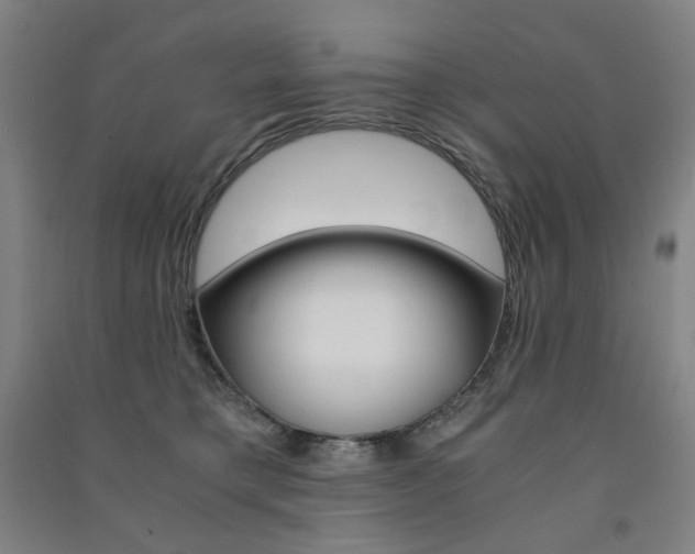 X0000091500421200708161238