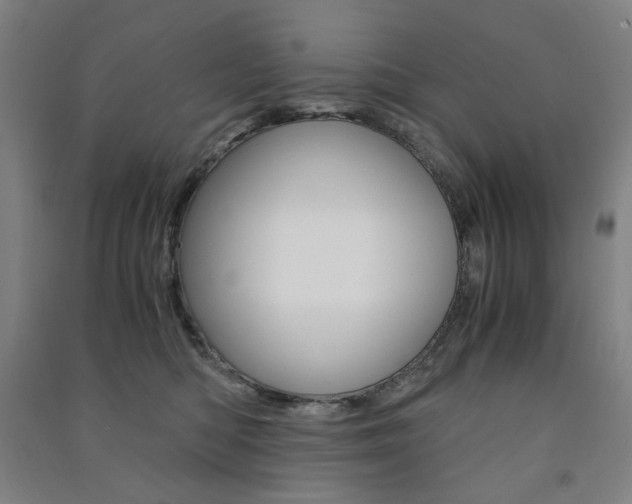 X0000091500422200708161238
