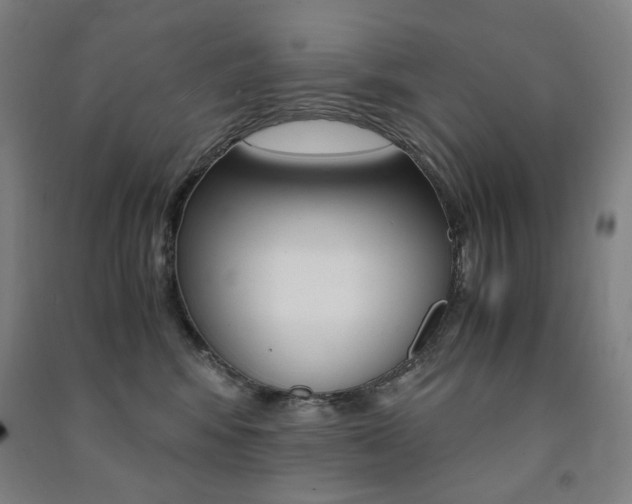 X0000091500424200708161238