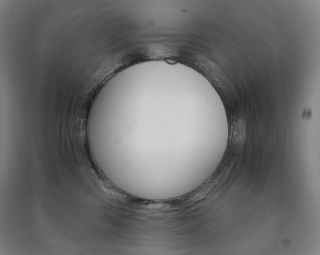 X0000091500426200708161238