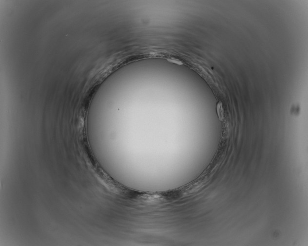 X0000091500427200708161238
