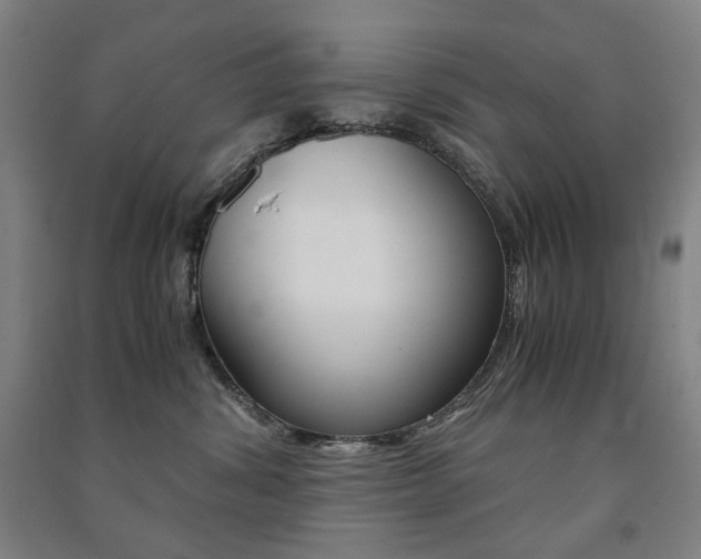 X0000091500428200708161238