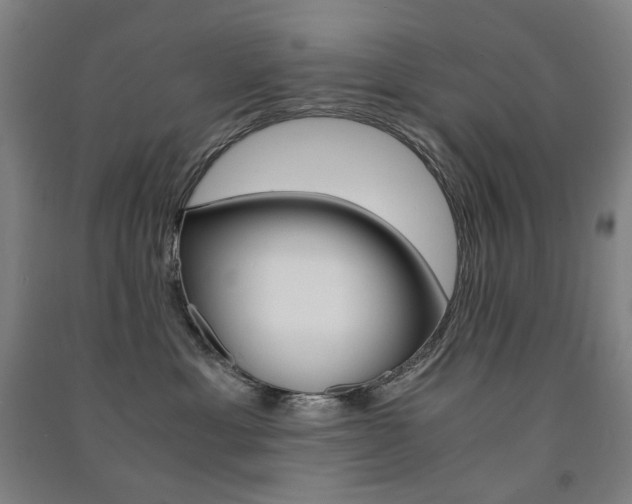X0000091500429200708161238