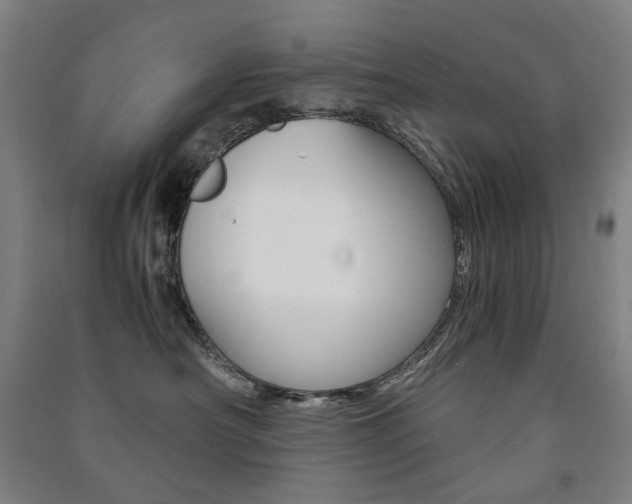 X0000091500430200708161238