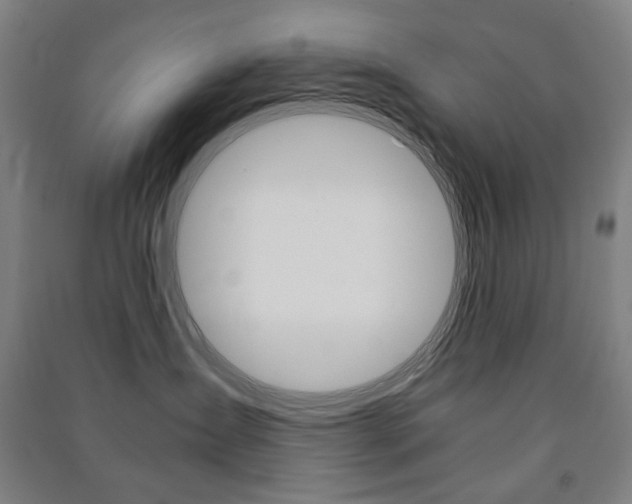 X0000091500431200708161238