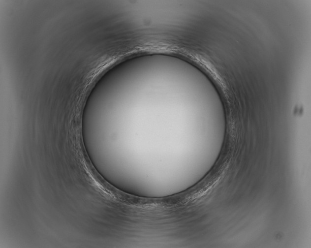 X0000091500433200708161237