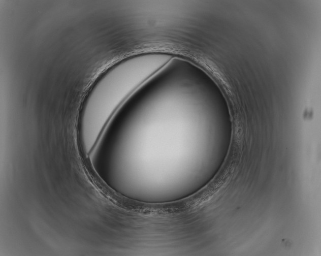 X0000091500434200708161237