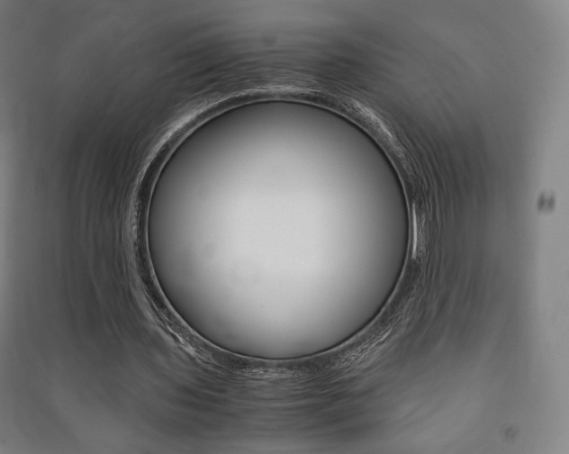 X0000091500435200708161237