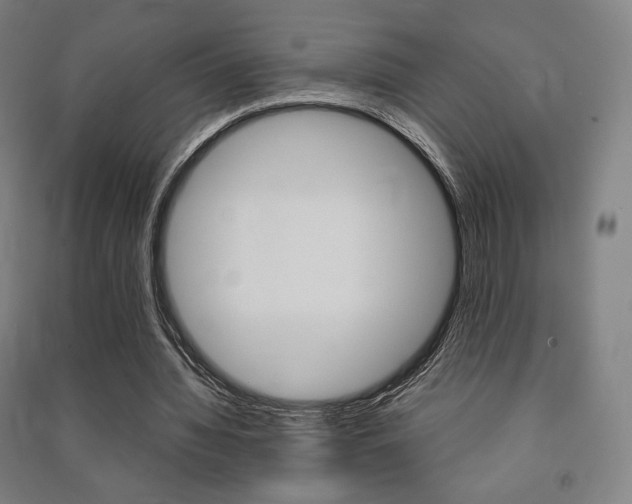 X0000091500436200708161237
