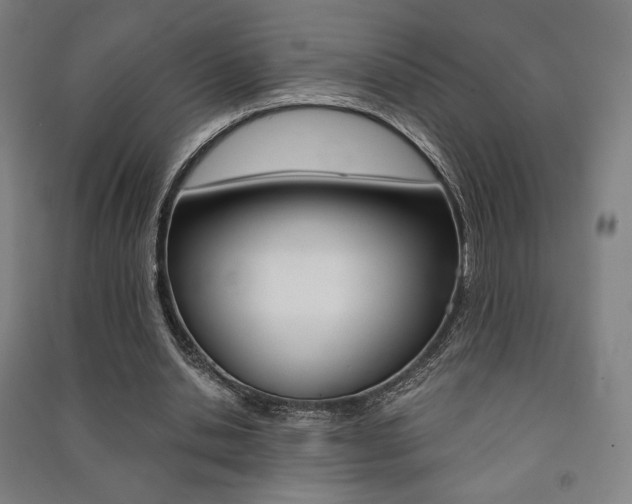 X0000091500438200708161237
