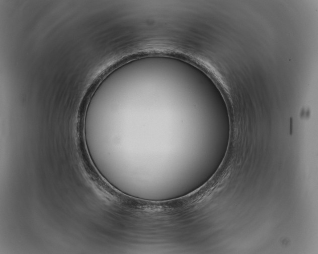 X0000091500439200708161237
