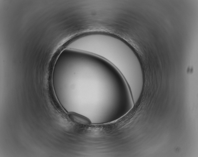 X0000091500440200708161237