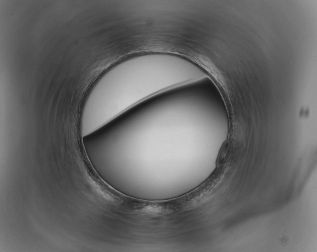 X0000091500441200708161237